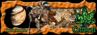 /album/fotogaleria/critical-prueba-png1/